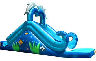 Water Slide Bouncer